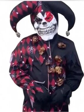California Costumes Sinister Jester Halloween Costume Child XL 12-14 Mask 00466